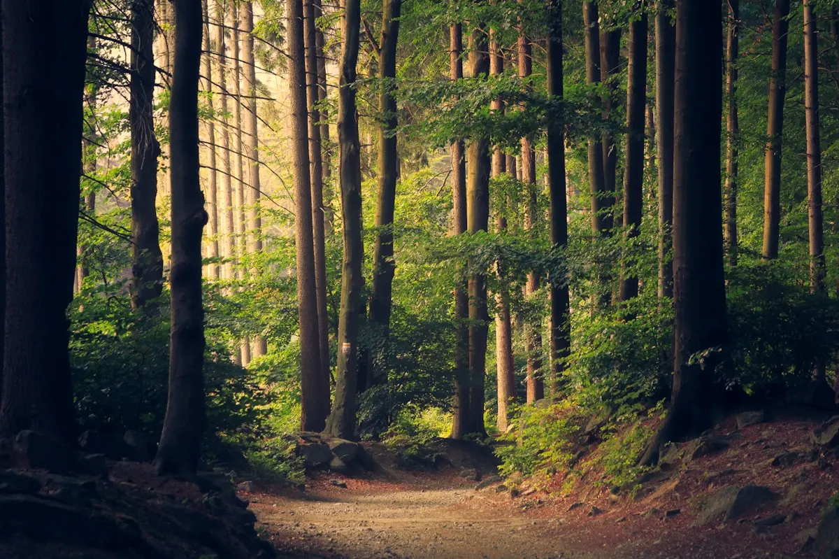 Gemini Springs Park